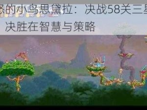 愤怒的小鸟思黛拉：决战58关三星攻略，决胜在智慧与策略