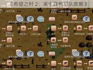 《希望之村 2：来生联机组队攻略》