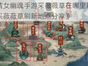 《倩女幽魂手游采薇薇草在哪里刷新？采薇薇草刷新地点分享》