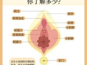 12 岁女生的私密部位长什么样？为什么会有大小？如何正确护理？