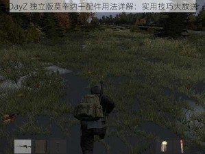 DayZ 独立版莫辛纳干配件用法详解：实用技巧大放送