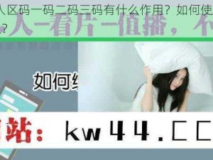 96 无人区码一码二码三码有什么作用？如何使用？在哪获取？