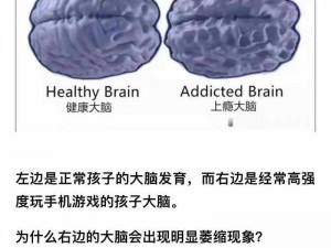 小小大脑革新：单人及多人手柄交互解决方案的探索与应用