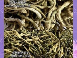 金银花为什么深不可测？如何深入了解金银花？金银花的秘密你知道多少？