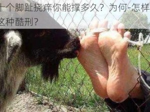 被锁十个脚趾挠痒你能撑多久？为何-怎样-如何应对这种酷刑？