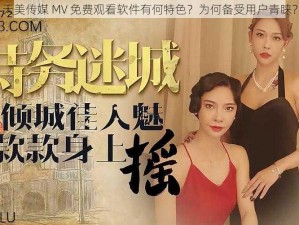 天美传媒 MV 免费观看软件有何特色？为何备受用户青睐？