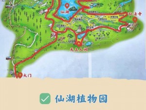 森林之子存档地点大全：全方位一览探秘绿色宝藏的所在位置