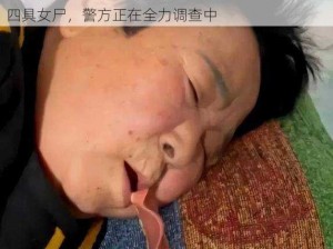 东北农村大坑乱肉一坑四女 东北农村大坑内发现四具女尸，警方正在全力调查中