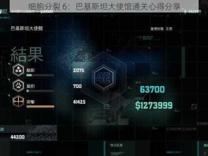 细胞分裂 6：巴基斯坦大使馆通关心得分享