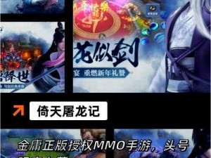 《仙之侠道苍云孤星剑决：揭秘神秘弈剑术的奥秘与传承》