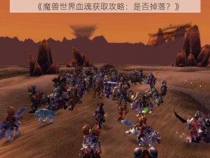 《魔兽世界血魂获取攻略：是否掉落？》