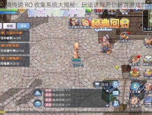 仙境传说 RO 收集系统大揭秘：玩法详解带你畅游游戏世界