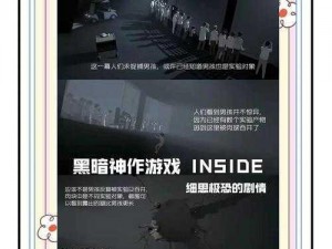 揭秘《Inside》最终隐藏结局密码揭秘之旅：探寻真实秘密之心的无尽迷踪