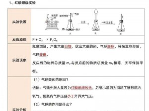 探究消尸身后事：必备配置与注意事项