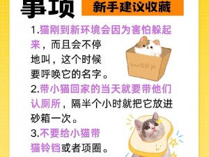 小森生活养猫秘籍：领养猫咪的正确方法