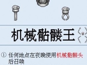 泰拉瑞亚 tera 老三王视频攻略：从零开始，教你战胜机械骷髅王