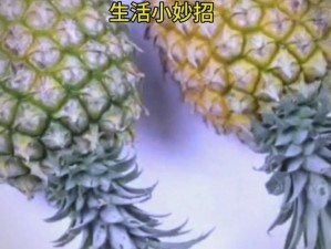 大菠萝官方官网隐藏入口在哪？如何找到它？