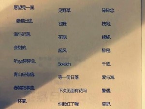 小明最新地域网名 2023：如何选择适合自己的？有哪些注意事项？