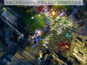 《圣域 3 无限 Loading 黑屏怎么办？实用解决方法来了》