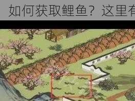 江南百景图：如何获取鲤鱼？这里有全面的攻略