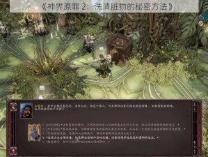 《神界原罪 2：洗清脏物的秘密方法》