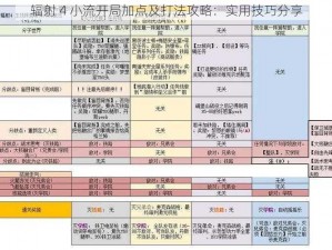 辐射 4 小流开局加点及打法攻略：实用技巧分享