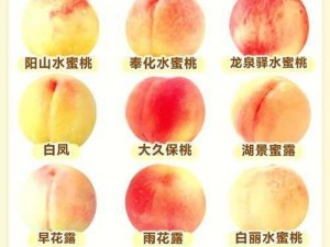 日本水蜜桃品种岭风;日本水蜜桃品种岭风的口感和食用方法是怎样的？