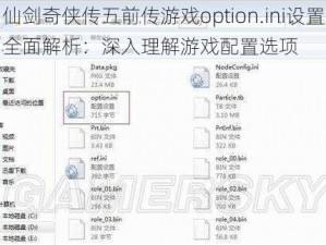 仙剑奇侠传五前传游戏option.ini设置全面解析：深入理解游戏配置选项