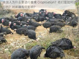 美国人为什么要进行畜禽 Croproation？他们是如何进行的？对环境有何影响？