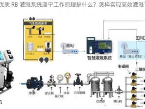 优质 RB 灌溉系统唐宁工作原理是什么？怎样实现高效灌溉？