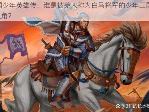 三国少年英雄传：谁是被羌人称为白马将军的少年三国志 2 主角？