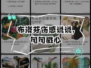 非主流中文网怎样帮你解决痛点？