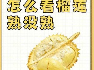 为什么找不到榴莲视频.combo3.0 老版？如何下载安装？