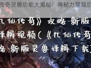 九仙传奇灵兽功能大揭秘：神秘力量背后的故事