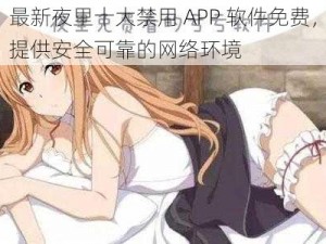 最新夜里十大禁用 APP 软件免费，提供安全可靠的网络环境