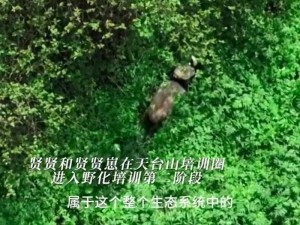 69 ΧΧΧΧⅩHD19 免费看片：为什么还要付费？如何才能找到免费资源？