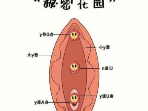 疯狂揉小核会导致失禁吗？