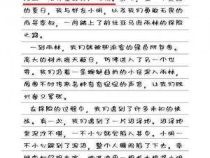 《阿加雷斯特战记心得技巧：探索神秘世界的指南》