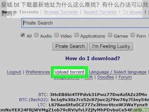 爱城 bt 下载最新地址为什么这么难找？有什么办法可以找到吗？