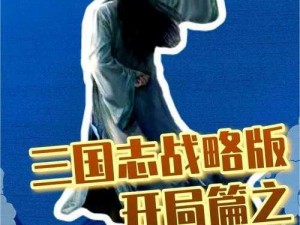 在三国志战略版中，如何快速获取功勋？