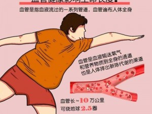 肉体内的高速公路1980、肉体内的高速公路 1980：探索人体血管网络的奥秘