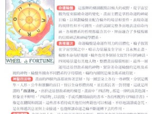 《命运之谜：的艺术3之命运之牌全攻略解析》