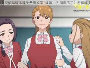 少女视频哔哩哔哩免费播放第 14 集，为何看不了？怎样解决？