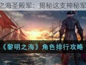 《黎明之海圣殿军：揭秘这支神秘军事力量》