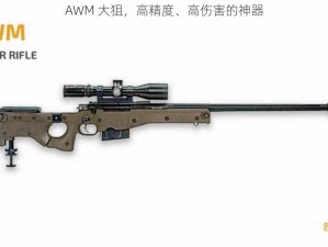 AWM 大狙，高精度、高伤害的神器