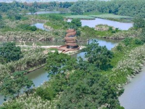 塞尔达王国之泪拉贝拉湿地带鸟望台解锁攻略详解：探索湿地，解锁观鸟新视角