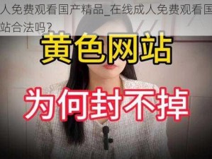 在线成人免费观看国产精品_在线成人免费观看国产精品视频网站合法吗？