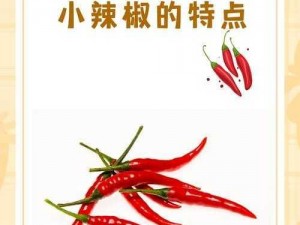 大香伊煮小辣椒成品为什么这么受欢迎？