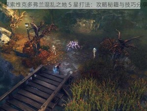 《探索维克多弗兰混乱之地 5 星打法：攻略秘籍与技巧分享》