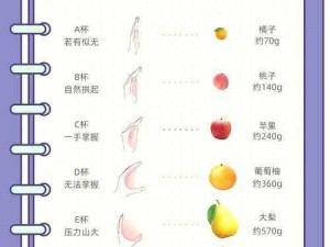 B大与小的区别、B 大与小的区别，你真的了解吗？